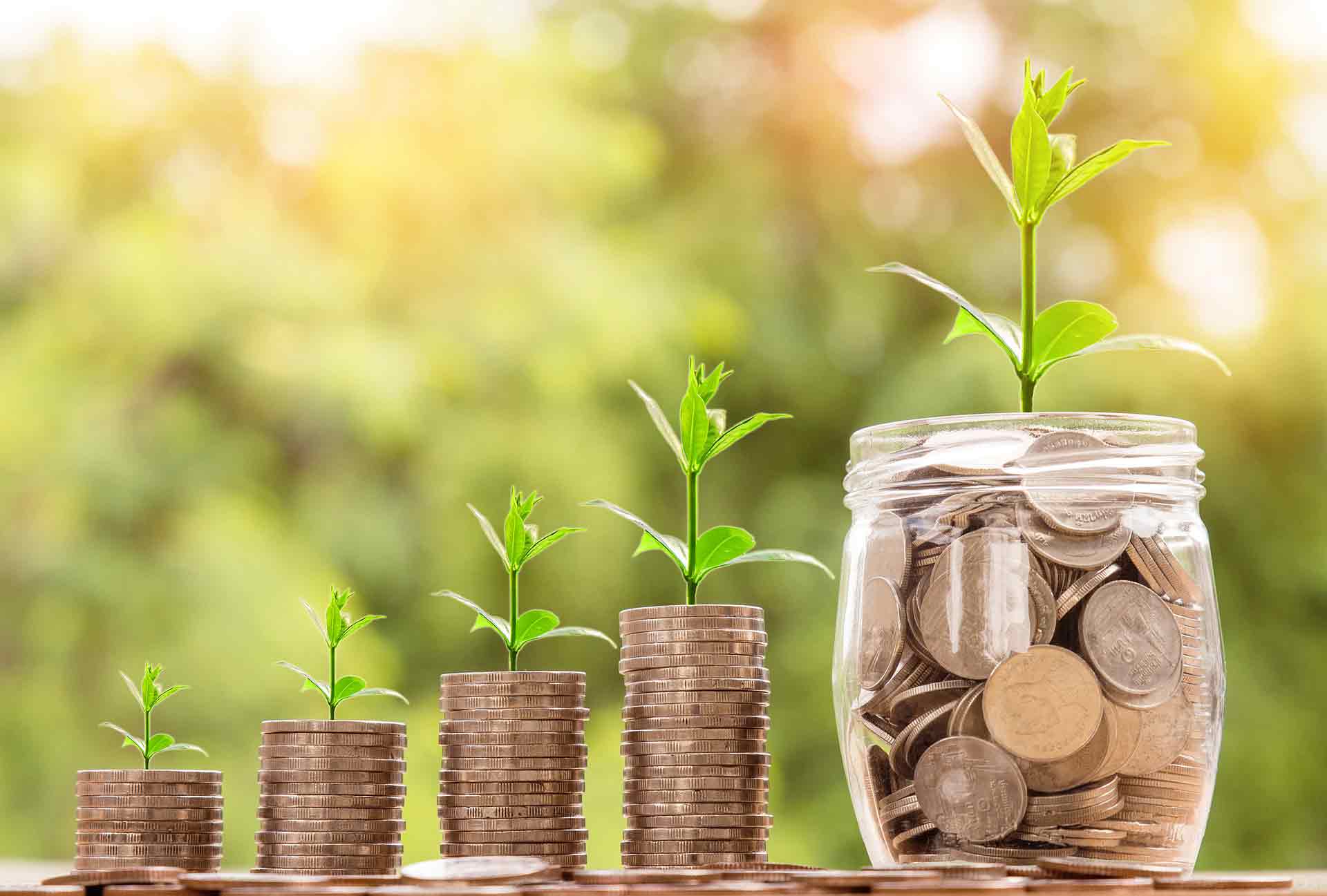 money-invest-growth